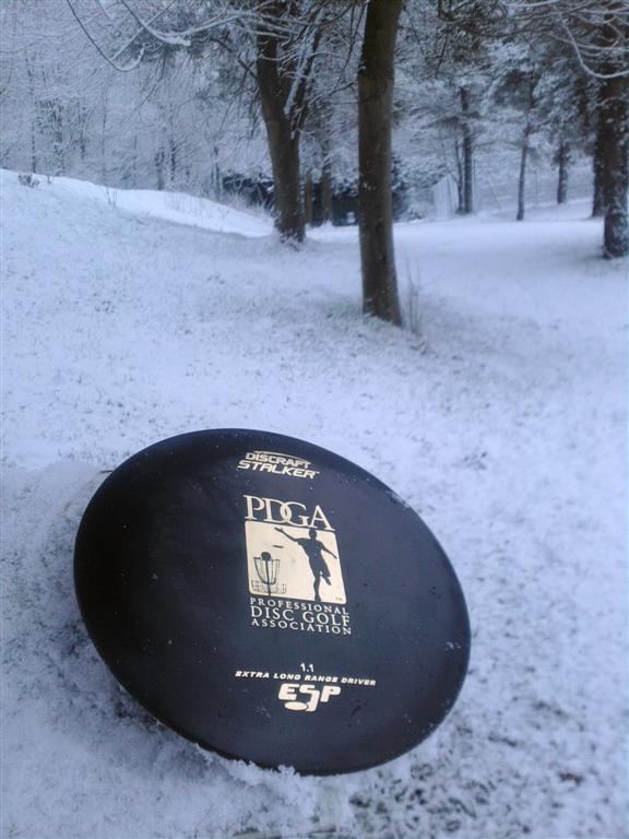 Stalker ESP PDGA